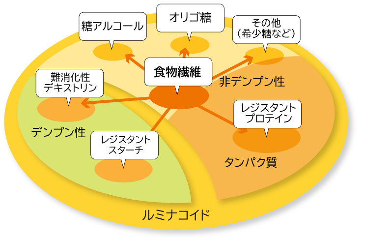 ルミナコイドの概念