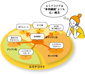 ルミナコイドの概念と想像