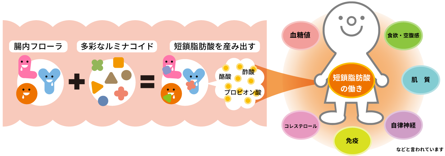 短鎖脂肪酸を産み出す