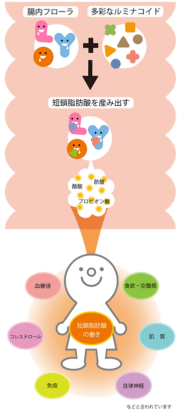短鎖脂肪酸を産み出すmobile